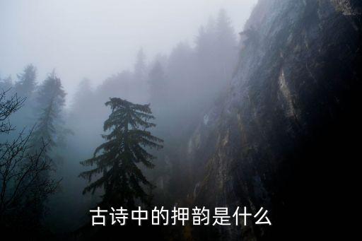 押韻什么意思，古詩中的押韻是什么
