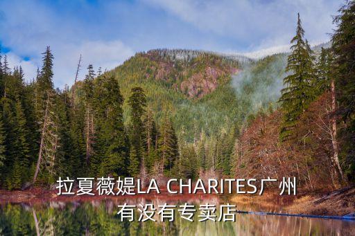 la chapelle廣州實體店，路易威登在廣州哪里有專賣店啊