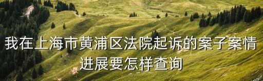 上海市涉訴行政案件，上海市靜安區(qū)人民法院一般主要處理哪些方面的案件