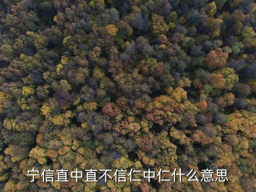 寧信直中直不信仁中仁什么意思