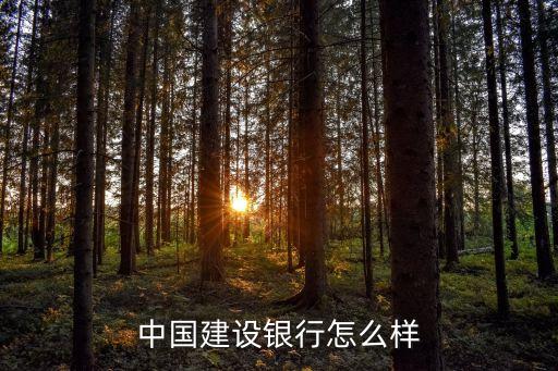 中國建設銀行怎么樣