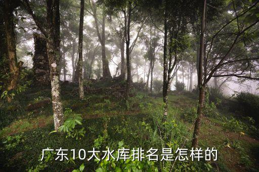 廣東10大水庫(kù)排名是怎樣的