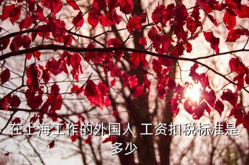 在上海工作的外國人 工資扣稅標(biāo)準(zhǔn)是多少