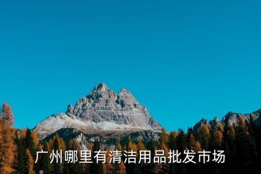 廣州最大洗潔用品市場(chǎng)，廣州批發(fā)衛(wèi)生紙 抽紙 洗潔精 鍋 電風(fēng)扇 垃圾袋 砧板之類的批發(fā)市場(chǎng)哪