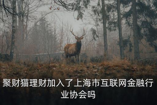 上海市金融信息行業(yè)協(xié)會(huì)理事會(huì)，聚財(cái)貓理財(cái)加入了上海市互聯(lián)網(wǎng)金融行業(yè)協(xié)會(huì)嗎