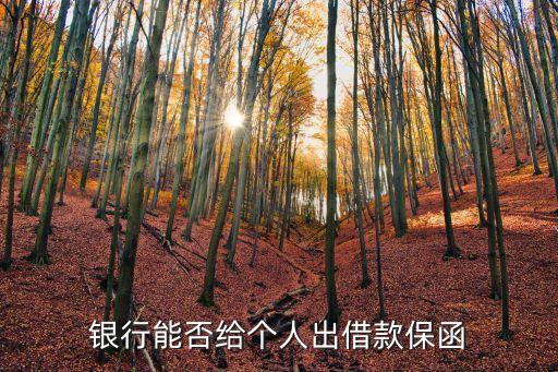 銀行能否給個(gè)人出借款保函