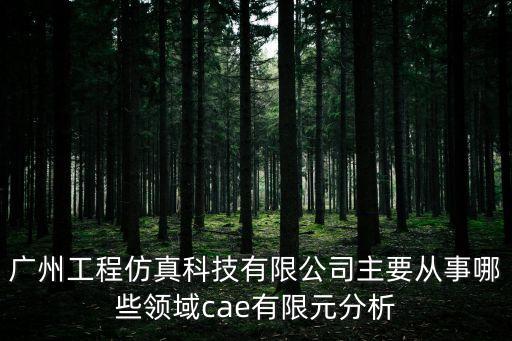 廣州工程仿真科技有限公司主要從事哪些領(lǐng)域cae有限元分析