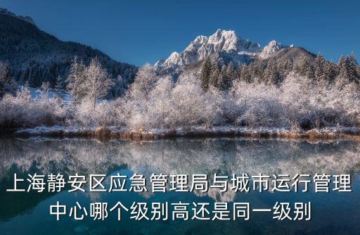 上海市城市運行中心級別，上海的市級中心區有幾個