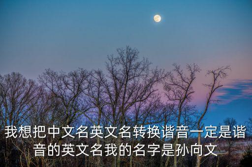 孫向文，中文名英文名轉換諧音我的名字是孫向文有人可以幫幫忙嘛
