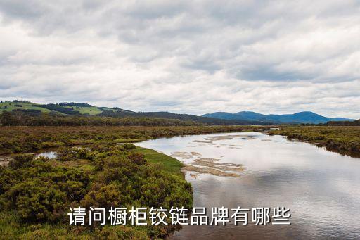 請(qǐng)問(wèn)櫥柜鉸鏈品牌有哪些