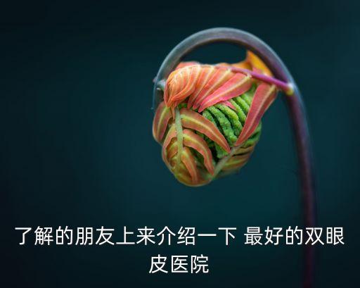 了解的朋友上來(lái)介紹一下 最好的雙眼皮醫(yī)院