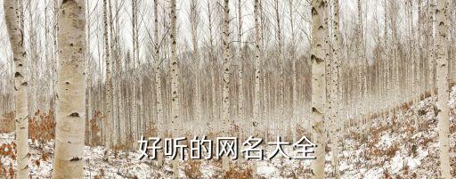 好聽的網名大全