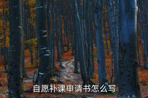 自愿補(bǔ)課申請(qǐng)書怎么寫