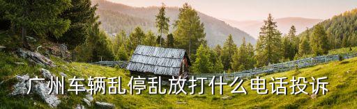 廣州泊車客服電話，廣州車輛亂停亂放打什么電話投訴