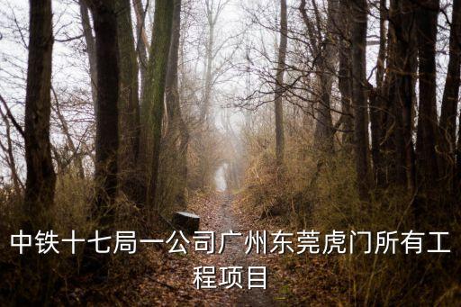 中鐵十七局一公司廣州東莞虎門(mén)所有工程項(xiàng)目