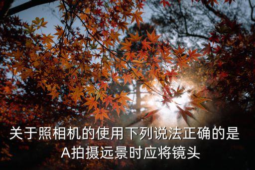 應將，應將胡餅邀蟾蜍什么意思