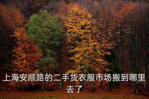 上海市安順路160號，上海安順路的二手貨衣服市場搬到哪里去了