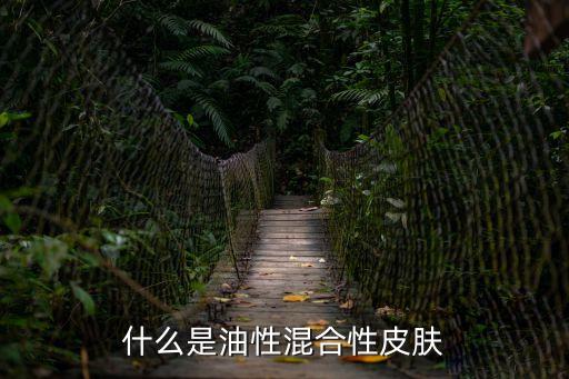 什么是油性混合性皮膚