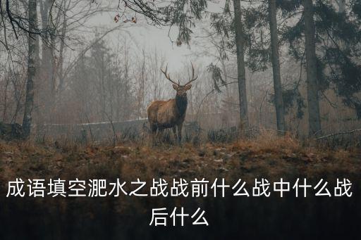 成語填空淝水之戰戰前什么戰中什么戰后什么