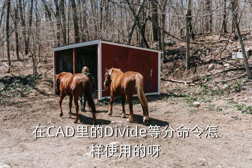 在CAD里的Divide等分命令怎樣使用的呀