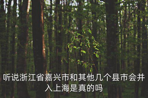 嘉興市未來會并上海市嗎，聽說浙江省嘉興市和其他幾個縣市會并入上海是真的嗎