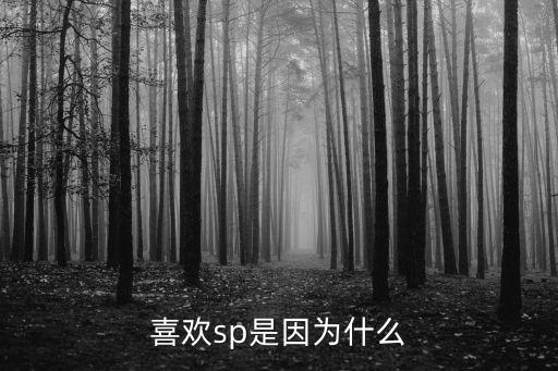 喜歡sp是因為什么