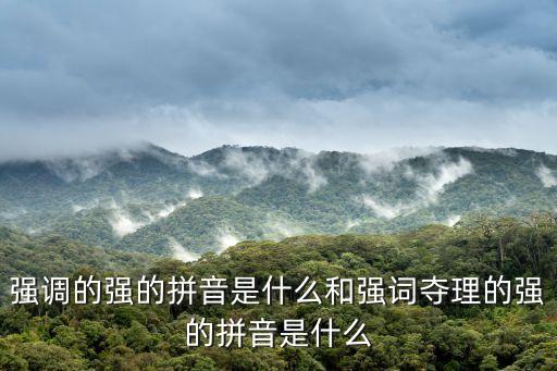 強(qiáng)調(diào)讀音，強(qiáng)調(diào)的強(qiáng)的拼音是什么和強(qiáng)詞奪理的強(qiáng)的拼音是什么