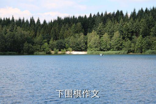 下圍棋作文，介紹圍棋作文兩百字