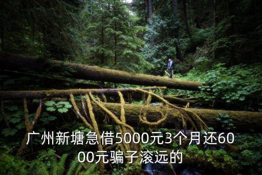 廣州新塘急借5000元3個月還6000元騙子滾遠的