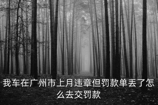 我車(chē)在廣州市上月違章但罰款單丟了怎么去交罰款