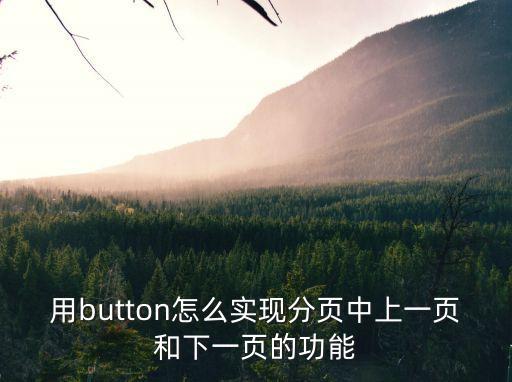 上一頁，如何能讓網頁中的 上一頁 和 下一頁 能自動實現功能呢有沒有什么語