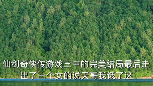 仙劍奇?zhèn)b傳游戲三中的完美結局最后走出了一個女的說天哥我餓了這