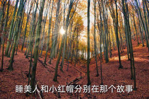 格林童話玫瑰公主，睡美人和小紅帽分別在那個故事