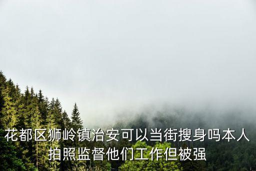 花都區獅嶺鎮治安可以當街搜身嗎本人拍照監督他們工作但被強