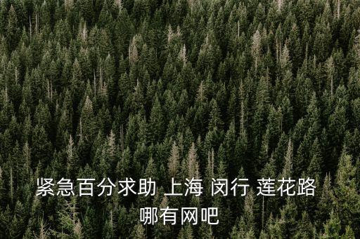 上海市閔行區網魚網咖古美店，請問 離上海閔行區古美路愛倫海賓館最近的網吧在哪里