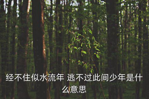 經(jīng)不住似水流年 逃不過此間少年是什么意思