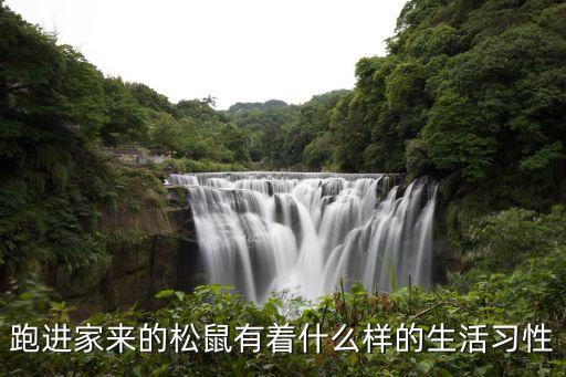 跑進家來的松鼠有著什么樣的生活習性
