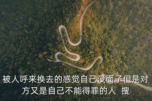 爺就是這樣的鳥兒，為什么自己努力卻得來了根本上的污辱