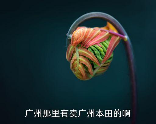 廣州一號本專賣，Nike空軍一號廣州專賣最便宜要多少錢