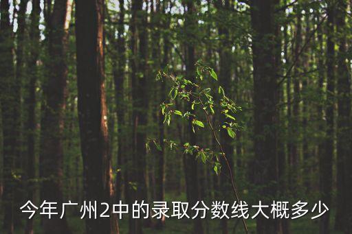 今年廣州2中的錄取分數線大概多少
