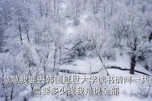 延世大學(xué)留學(xué)費(fèi)用，急急我要去韓國延世大學(xué)讀書請(qǐng)問一共需要多少錢我是說全部
