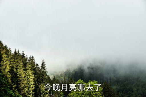 廣州今日月亮軌跡，今天在廣州有人看到月食嗎