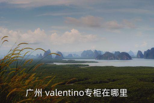 廣州 valentino專柜在哪里
