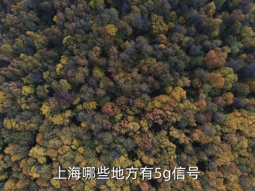 上海市5g微基站有多少，上海聯通現在有哪些地方開通5G了嗎