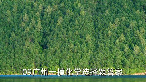 20204月廣州一模化學(xué)答案，09廣州一模化學(xué)選擇題答案