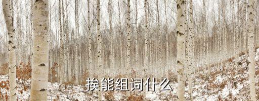 挨的詞語，挨能組詞什么