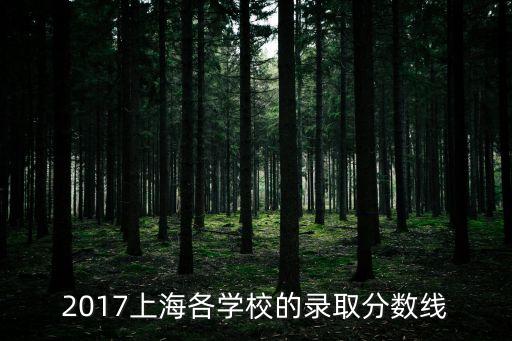 上海市南中學分數線2017，上海上南中學去年分數線多少