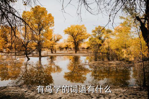 鳥怎么組詞，鳥字加什么部首再組詞