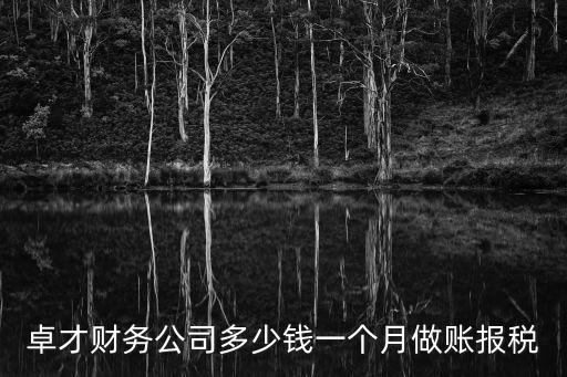 卓才財務公司多少錢一個月做賬報稅