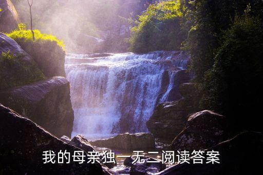我的母親獨一無二，我的母親獨一無二中文中從哪些方面表二現了我的母親獨一無二